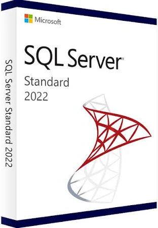 SQL Server 2022 Standard - License key Email delivery
